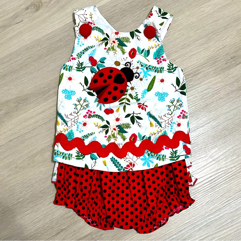 Lil Cactus Ladybug 2 piece bloomer outfit